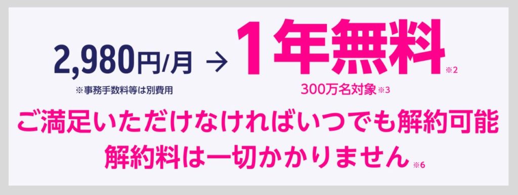 月額料金2,980円が1年間0円になる条件について